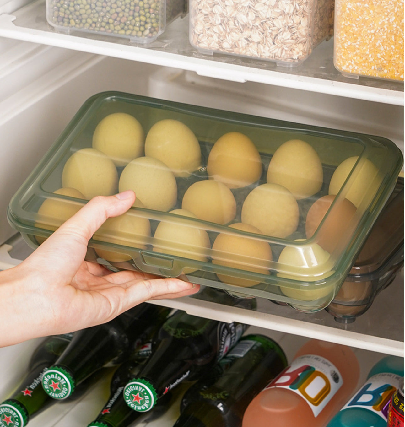 Mbajtëse vezësh transparente me kapak 15 hapësira