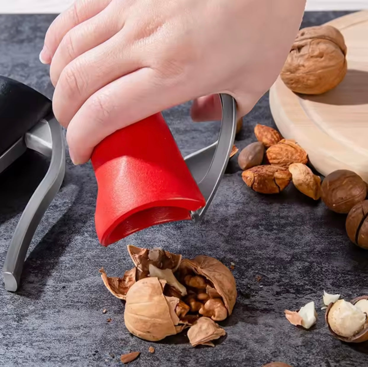 Thyerse arrash manuale