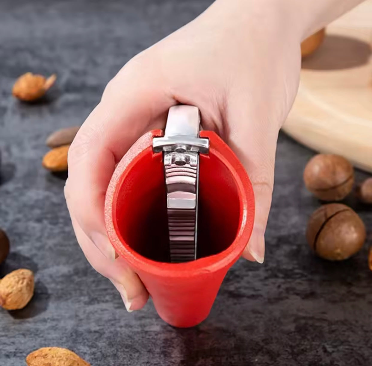 Thyerse arrash manuale