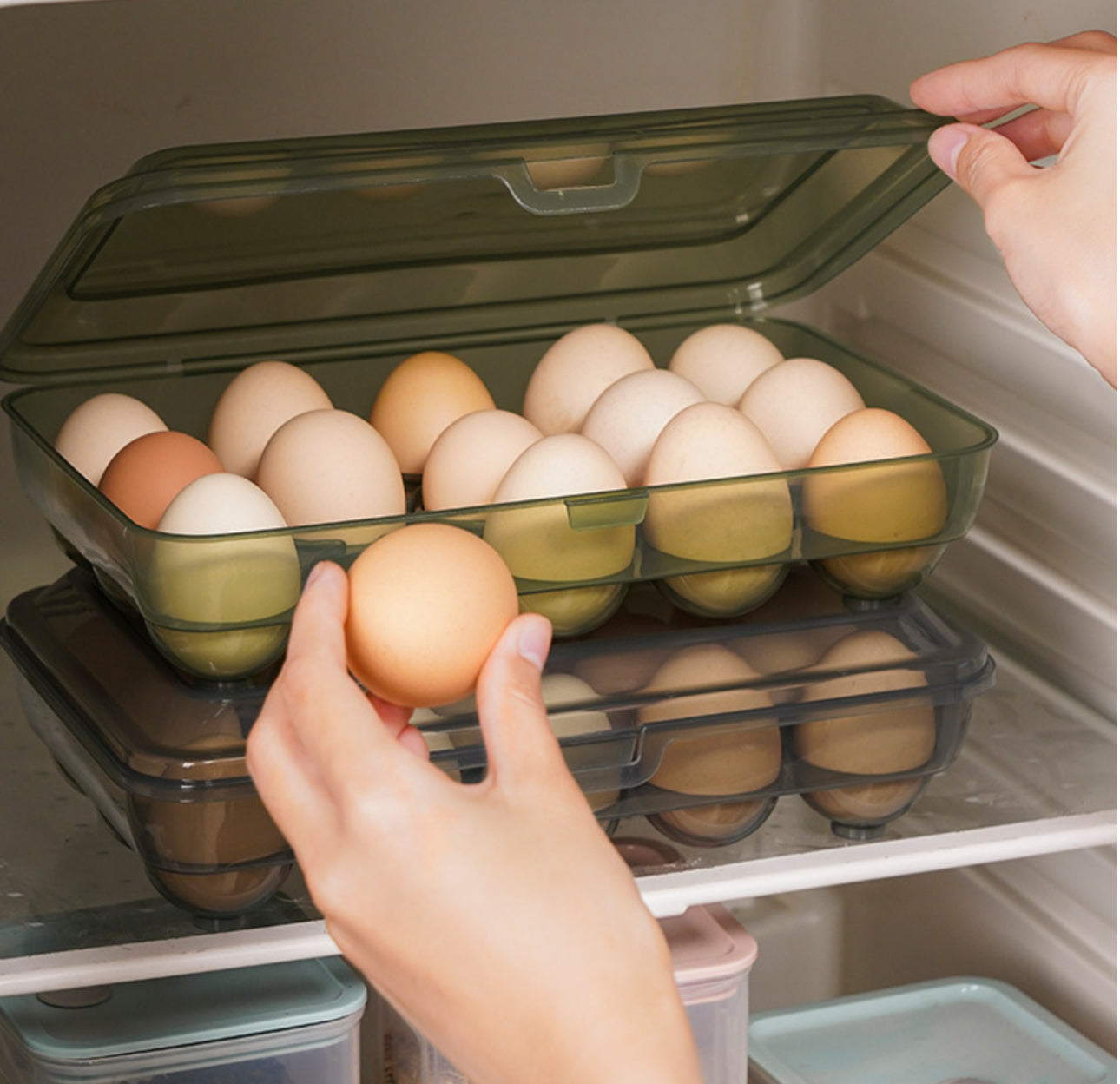 Mbajtëse vezësh transparente me kapak 15 hapësira