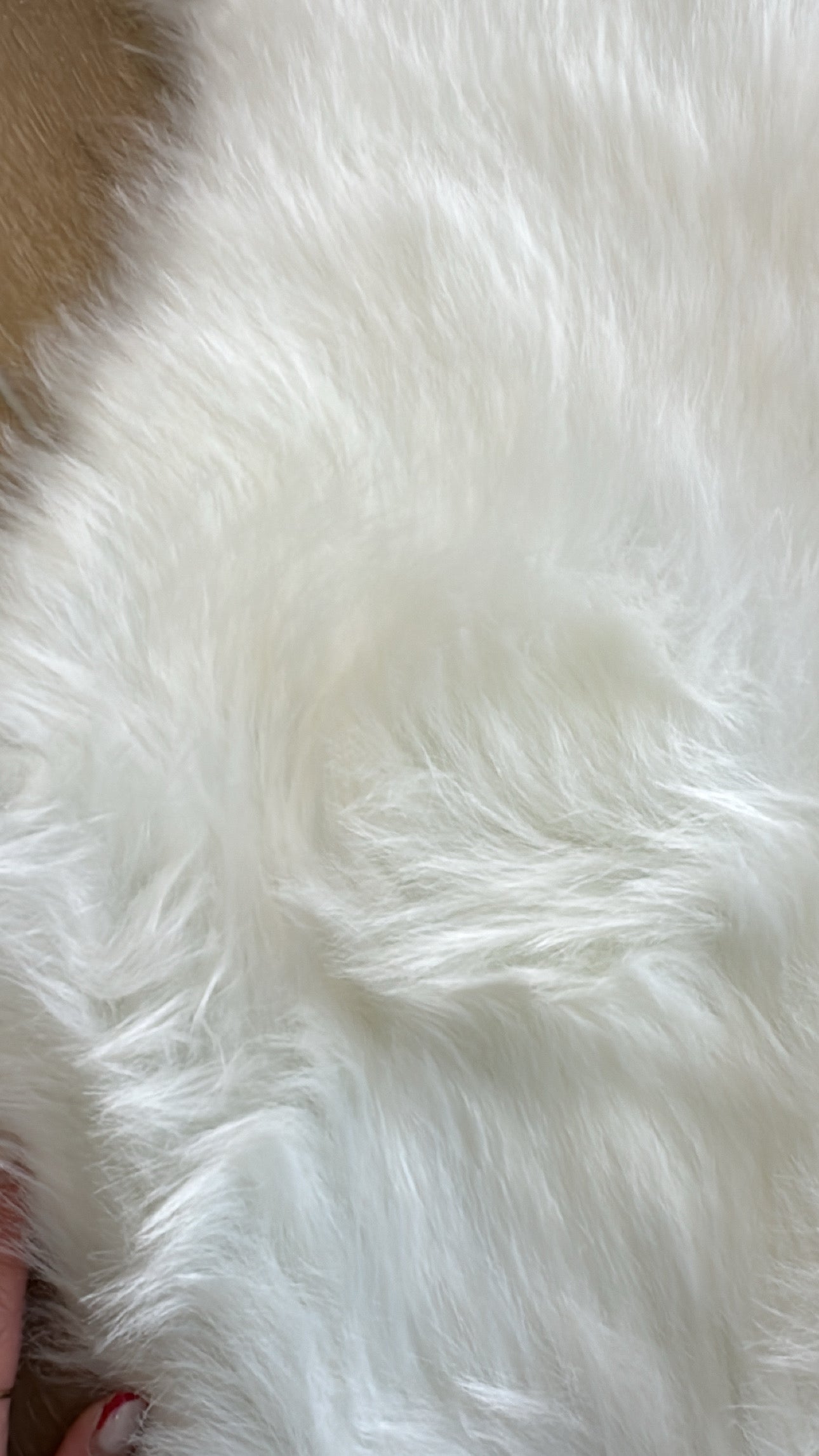 Tapet pellushi njëngjyrëshe, me valëzime