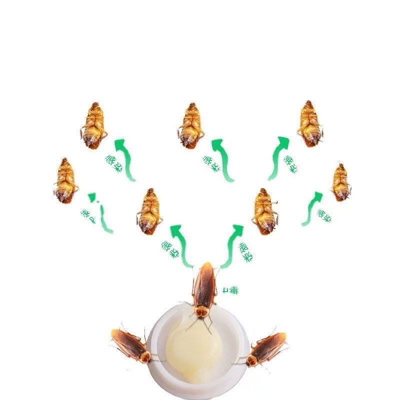 Xhel për insektet 8 copë