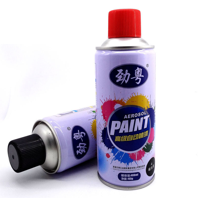 Paint Aerosol