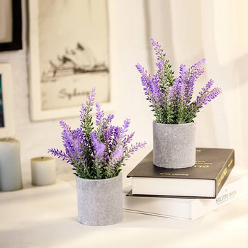 Mini vazo dekorative me lavender artificiale