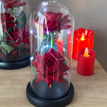 Trëndafil i kuq me kupolë xhami galaxy