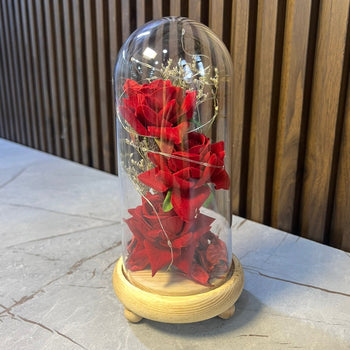 Kupolë qelqi me këmbë druri dhe 3 boce trëndafila