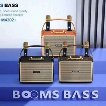 Boks muzike me 2 mikrofonë