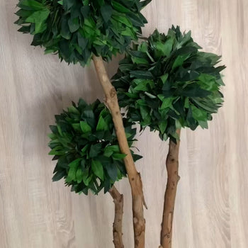 Pemë artificiale me 3 degë