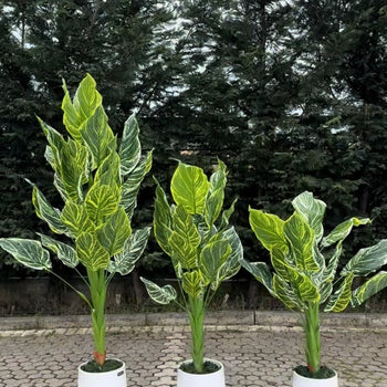Pemë dekorative artificiale me gjethe të mëdha në disa përmasa