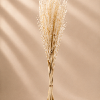 Tufë dekorative me pampas krem