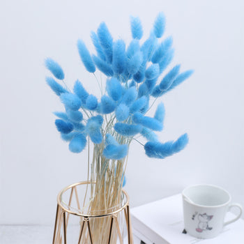 Tufë me lule të thata Bunny Tail Grass me gjatësi 62 cm