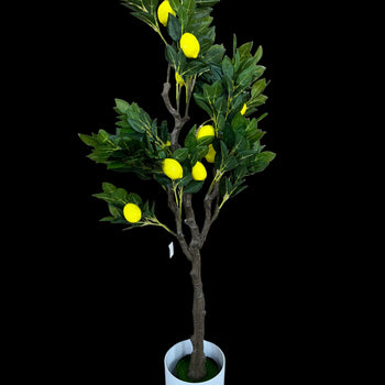 Pemë artificiale dekorative me limona, për zbukurim ambienti