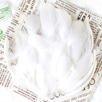 Pendë dekorative me pako