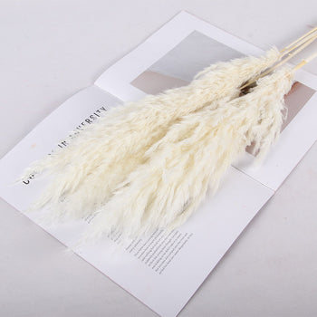Degë artificiale Pampas, pana