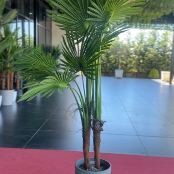 Pemë palme artificiale me 3 trungje 190 cm✨