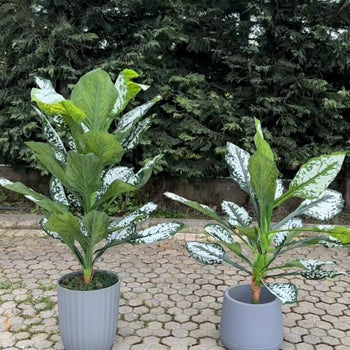Pemë dekorative artificiale me gjethe të mëdha në dy përmasa