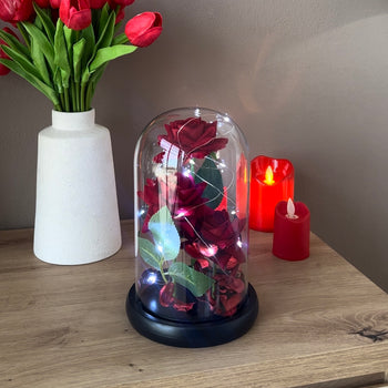 Trëndafil i kuq me kupolë xhami galaxy