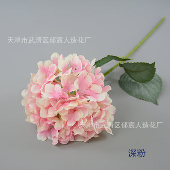 Lulebore me gjethe teke gjatësi 52 cm