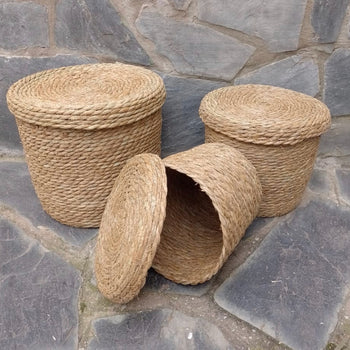 Set me 3 shporta imitim kashte me kapak