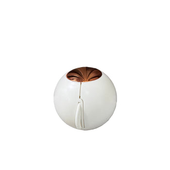 Top për mbledhjen e qimeve të kafshëve praktik, efektiv dhe i përshtatshëm për rrobat, mobiliet