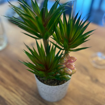 Vazo me lule aloe vera artificiale e vogël, jeshile e çelur