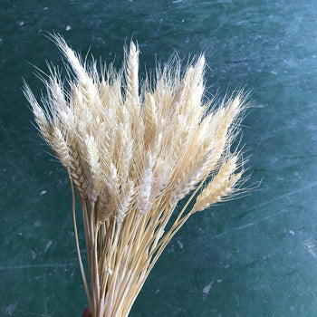 Tufë me lule gruri të thata me gjatësi 65 cm