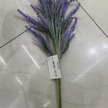 Tufë lule levander, 12 degë