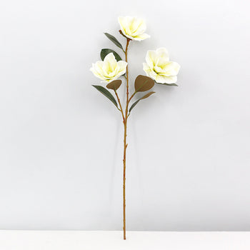 Degë me lule manjola me 3 koka të bardha e gjethe kafe me jeshile