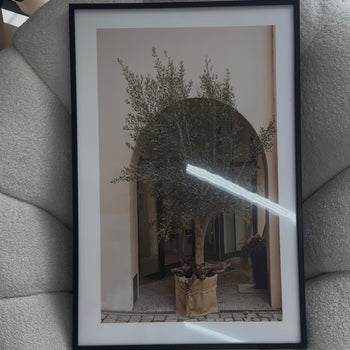 Kornizë dekorative me pemë ulliri