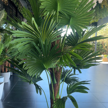 Pemë palme artificiale 180 cm
