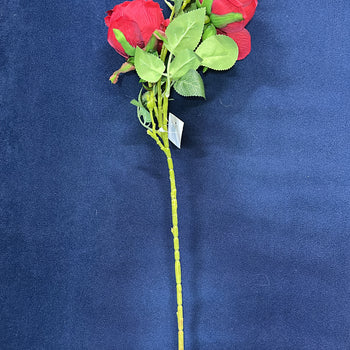 Degë trëndafili me 3 koka, 70 cm