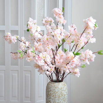 Lule qershie ( cherry blossoms )