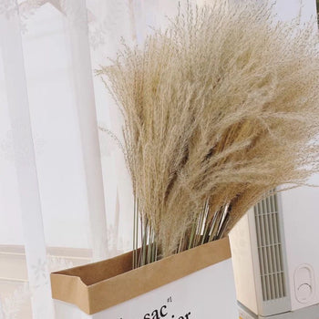 Tufë me lule të thata Pampas artificiale, 10 fije, 74cm