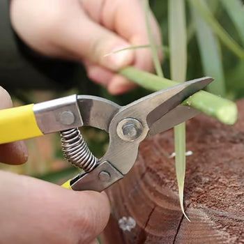 Gërshërë krasitëse për kopsht