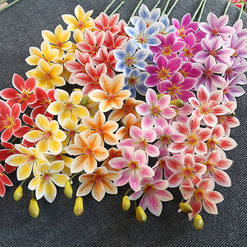 Lule me bisht tek manjole me 7 koka