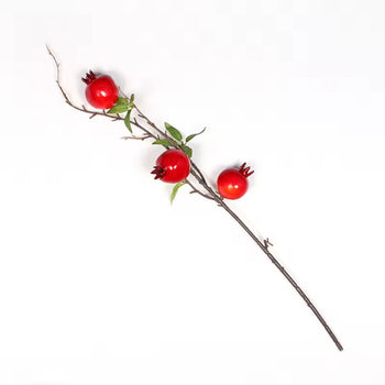 Degë dekorative me fruta shege për vazo