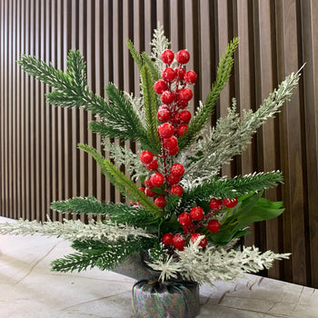 Pemë e vogël me qershi të mëdha, borë me mbështjellse holografike