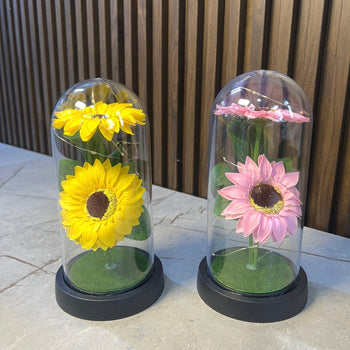 Kupolë qelqi me dritë Led, me lule “Dele”