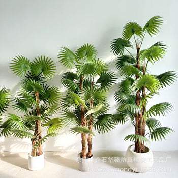 Pemë palme me tre trungje të trashë 140 cm