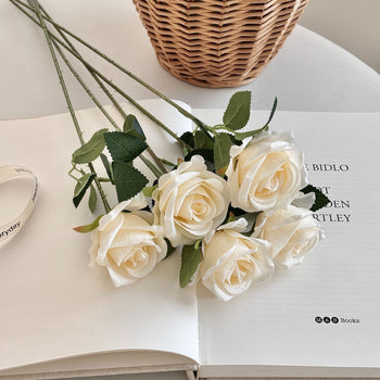 Tufë me trëndafila, pana me 8 koka