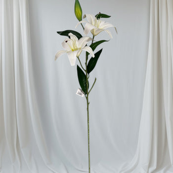 Lule Lily