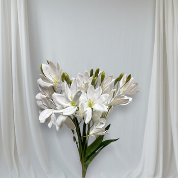 Tufë me Freesia