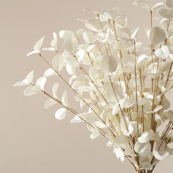 Lule teke Faux Eucalyptus
