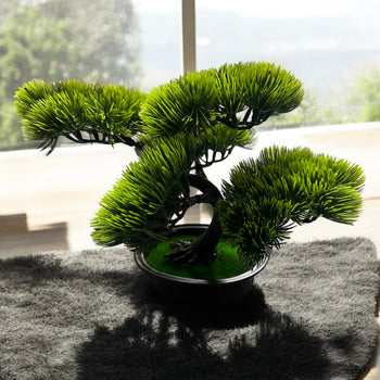 Vazo me Bonsai
