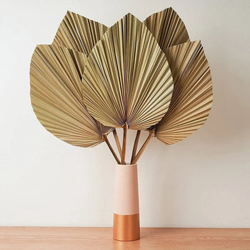 Gjethe palme e thate dekorative